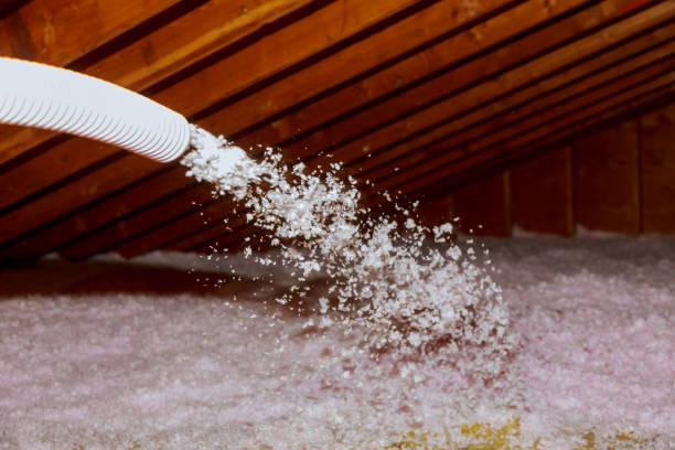 Best Spray Foam Insulation in Timberlake, VA