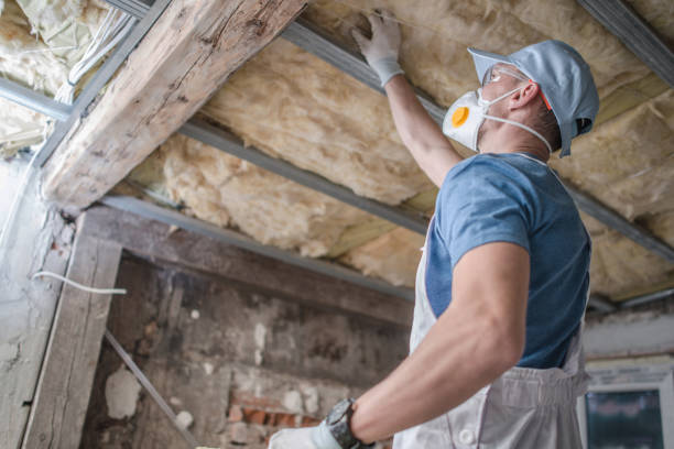 Best Cellulose Insulation in Timberlake, VA