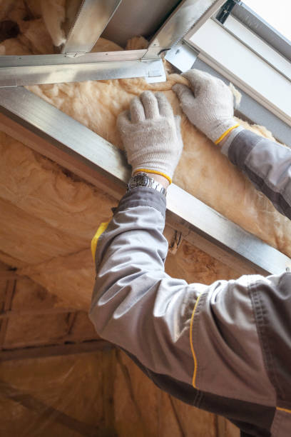 Types of Insulation We Offer in Timberlake, VA