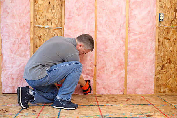Best Specialized Insulation Services in Timberlake, VA