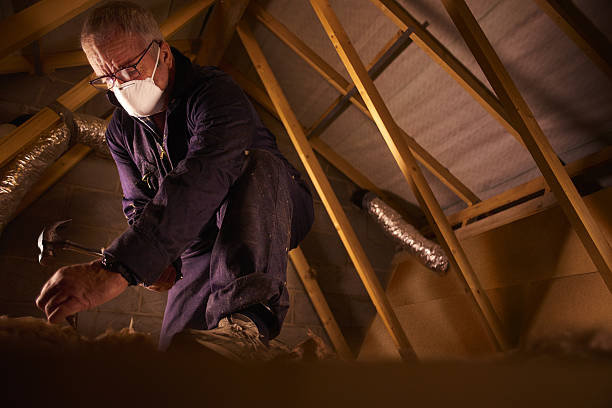 Best Commercial Insulation in Timberlake, VA